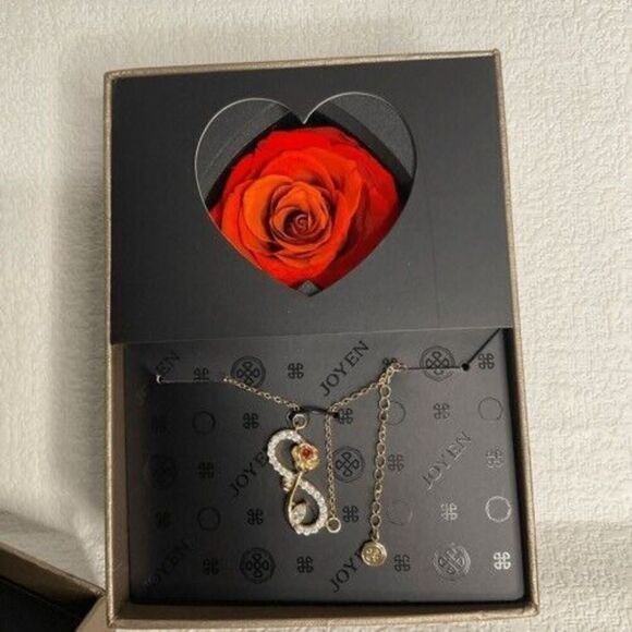 NWB Joyen Women's Gold Pendant Necklace with Cubic Zirconia for Wife Girlfriend - Picture 6 of 14